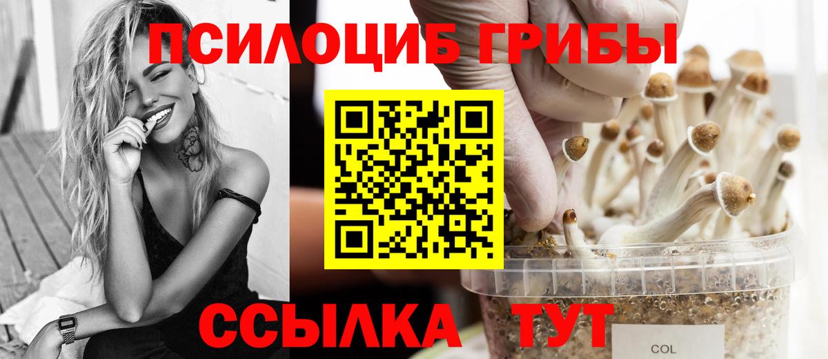 Красноуфимск  Псилоцибиновые грибы мухоморы  цена   Вход с VPN 